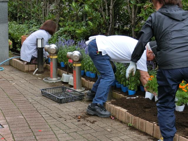 No.21 花壇の植え替え