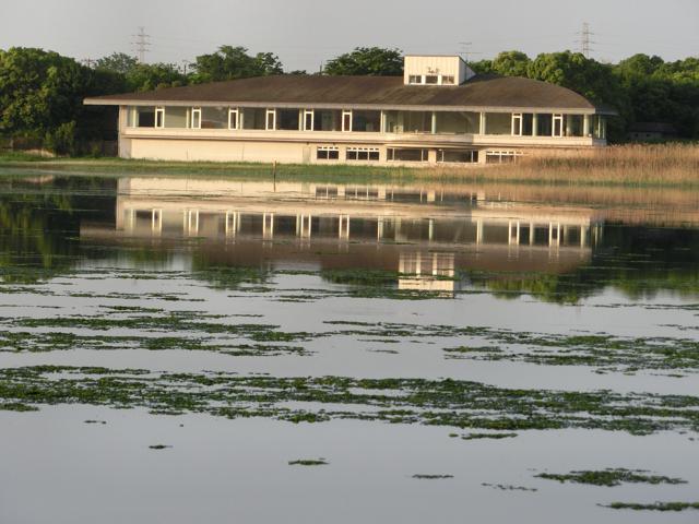 No.129 初夏の谷津干潟